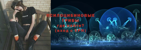 ALPHA PVP Нея
