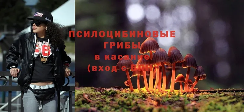 Псилоцибиновые грибы Psilocybe  где можно купить наркотик  Партизанск 