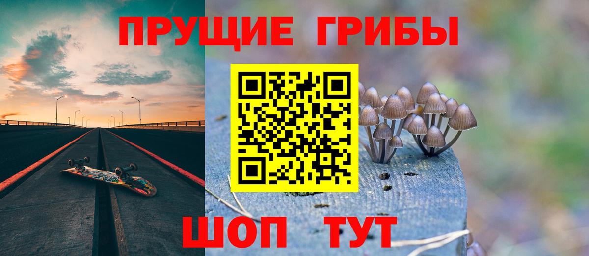 Партизанск  Галлюциногенные грибы Psilocybine cubensis  Вход с VPN  Галлюциногенные грибы ЛСД 